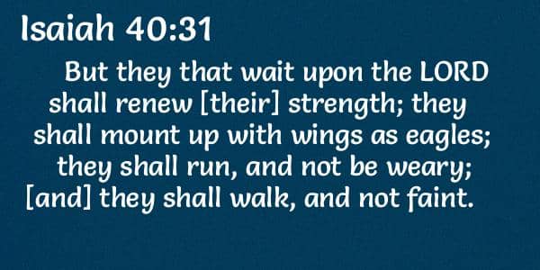 bible verse