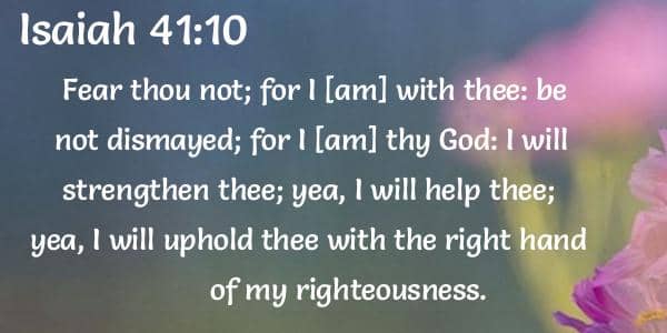 bible verse