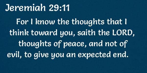 bible verse